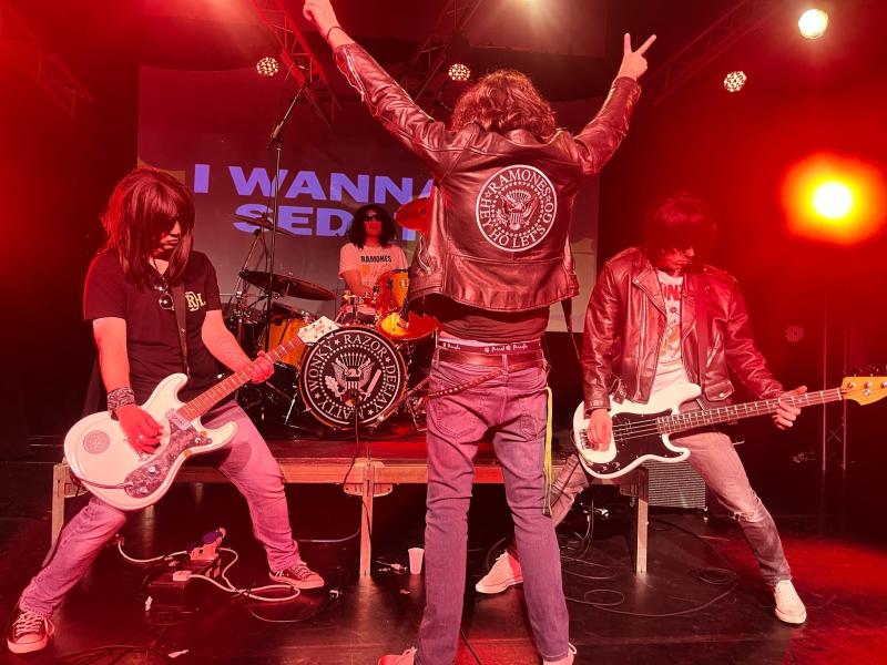 I Wanna Be Sedated